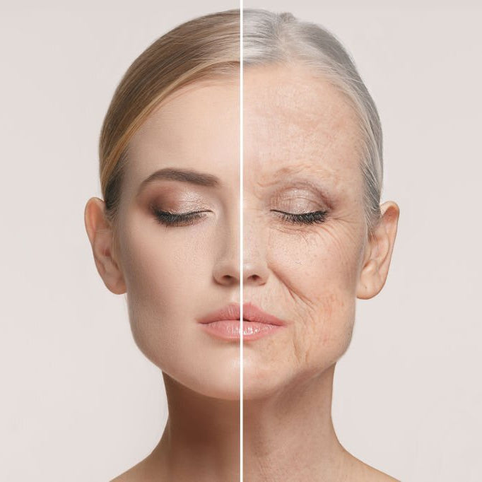 Anti-Aging